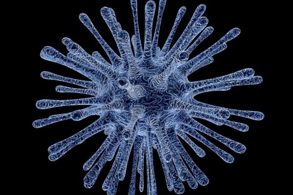 Virus del Papiloma Humano (VPH): su proceso destructivo