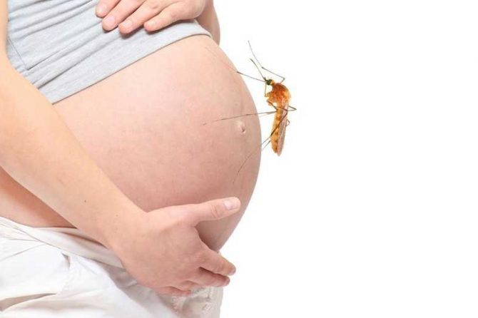 Embarazo y Zika: medidas críticas