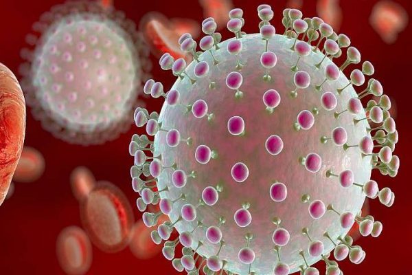 ¿Qué es el virus Zika?