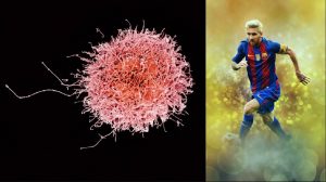 Prevención y regresión del VPH: el Messi del sistema inmune