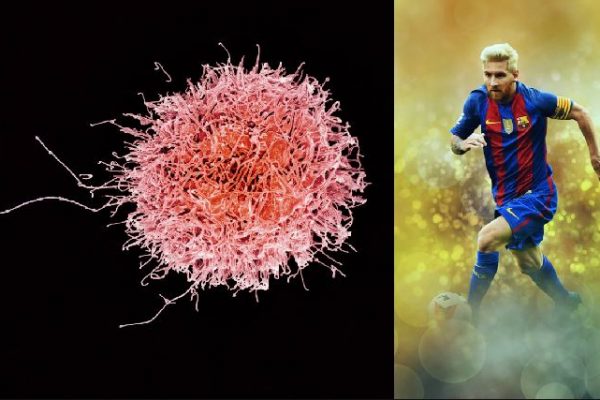 Prevención y regresión del VPH: el Messi del sistema inmune