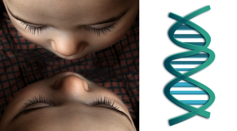 Gemelas modificadas genéticamente para inmunidad al virus del SIDA