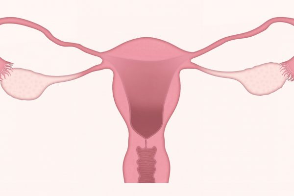 Cáncer de Cérvix y VIA: una técnica ginecológica que salva muchas vidas