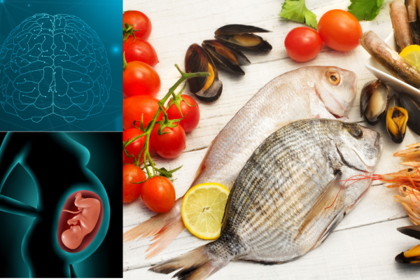 Nutrición para embarazadas: correcto desarrollo fetal y prevención de enfermedades