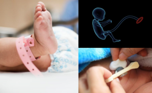 El cordón umbilical, el conducto de la vida (dudas comunes)