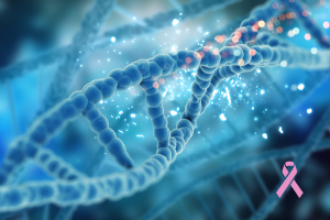 "10% of breast cancers have a hereditary component."