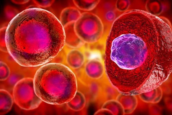 Células madre del cordón umbilical: beneficios y aplicaciones