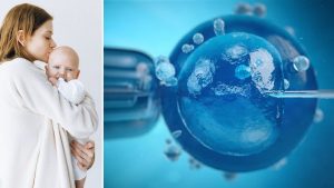 ‘Embrace’: eficacia sin riesgos en los tratamientos de reproducción asistida de la UDM