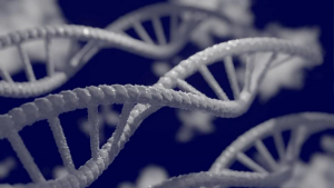 Cancer gynécologique : les plus fréquents, les facteurs de risque et les traitements