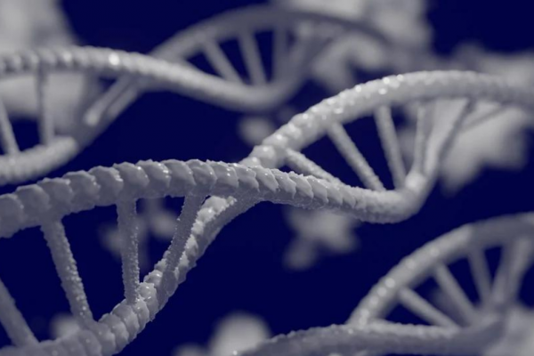 Cáncer ginecológico: los más comunes, factores de riesgo y tratamientos