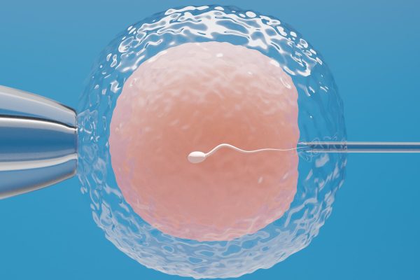 Los pasos de una fecundación in vitro